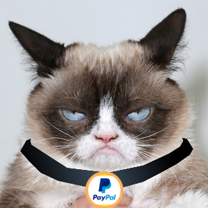 paypal cat