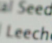 How to use torrents